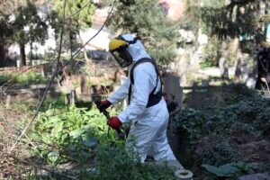 Sakarya’da 16 İlçedeki Mezarlıklar Ramazan Bayramı Ziyaretleri İçin Hazırlanıyor