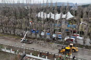 Eskişehir Sazova Parkı’nda Ekolojik Ömrünü Tamamlayan Kavaklar Kaldırılıyor, Yerine Çınar Ağaçları Dikiliyor