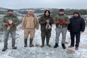 Eskişehir Hayvanat Bahçesi Tedavi Ettiği Yaban Kuşlarını Doğaya Bıraktı